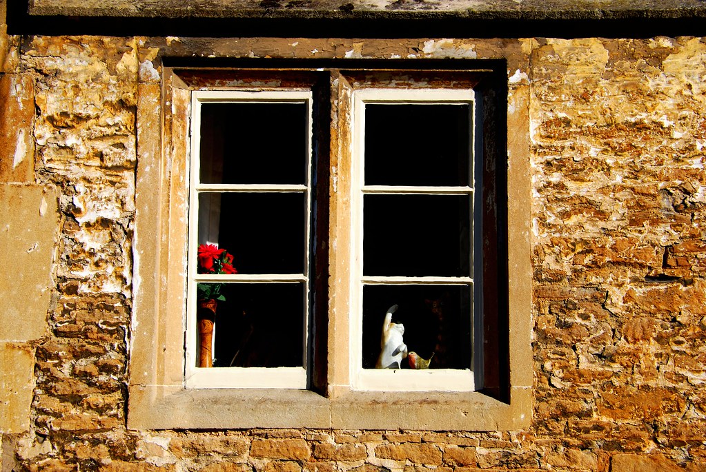 "Window" by Angel Xavier Viera is licensed under CC BY-ND 2.0 CC BYND